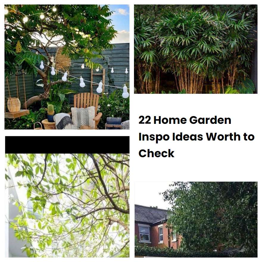 22 Home Garden Inspo Ideas Worth to Check
