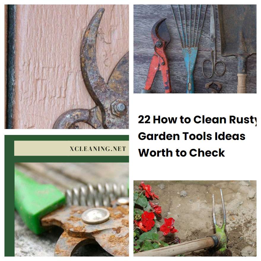 22 How to Clean Rusty Garden Tools Ideas Worth to Check
