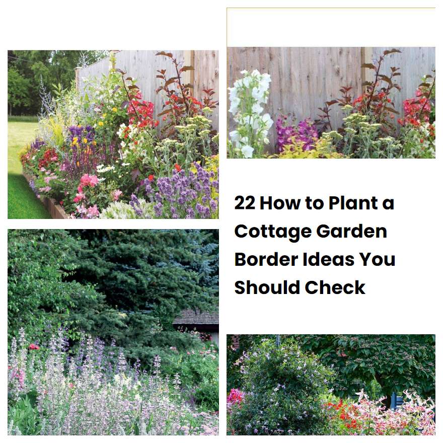 22 How to Plant a Cottage Garden Border Ideas You Should Check