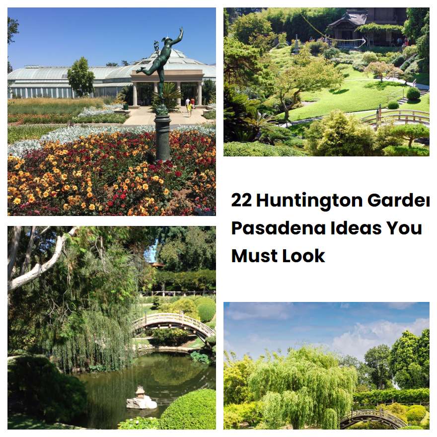 22 Huntington Garden Pasadena Ideas You Must Look