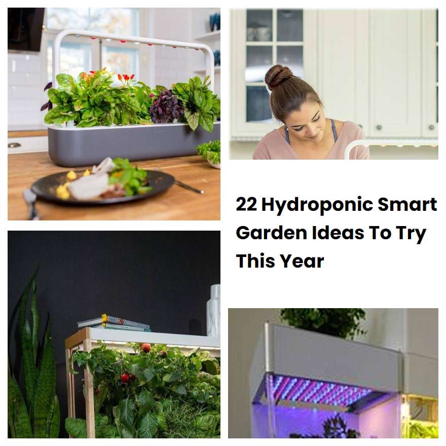 22 Hydroponic Smart Garden Ideas To Try This Year