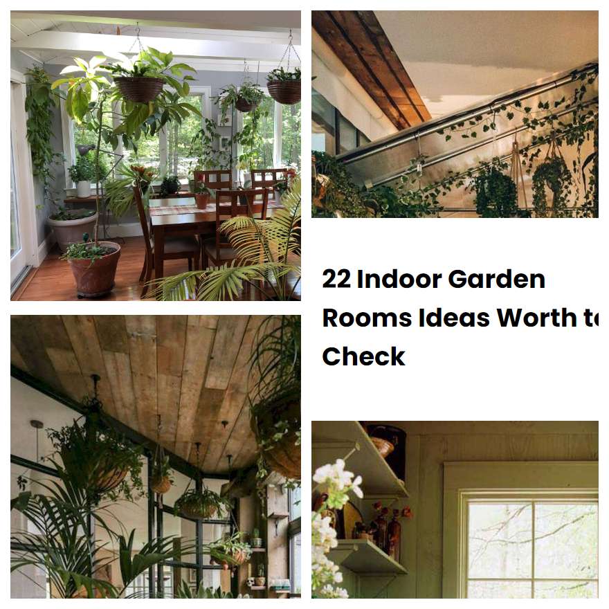 22 Indoor Garden Rooms Ideas Worth to Check SharonSable