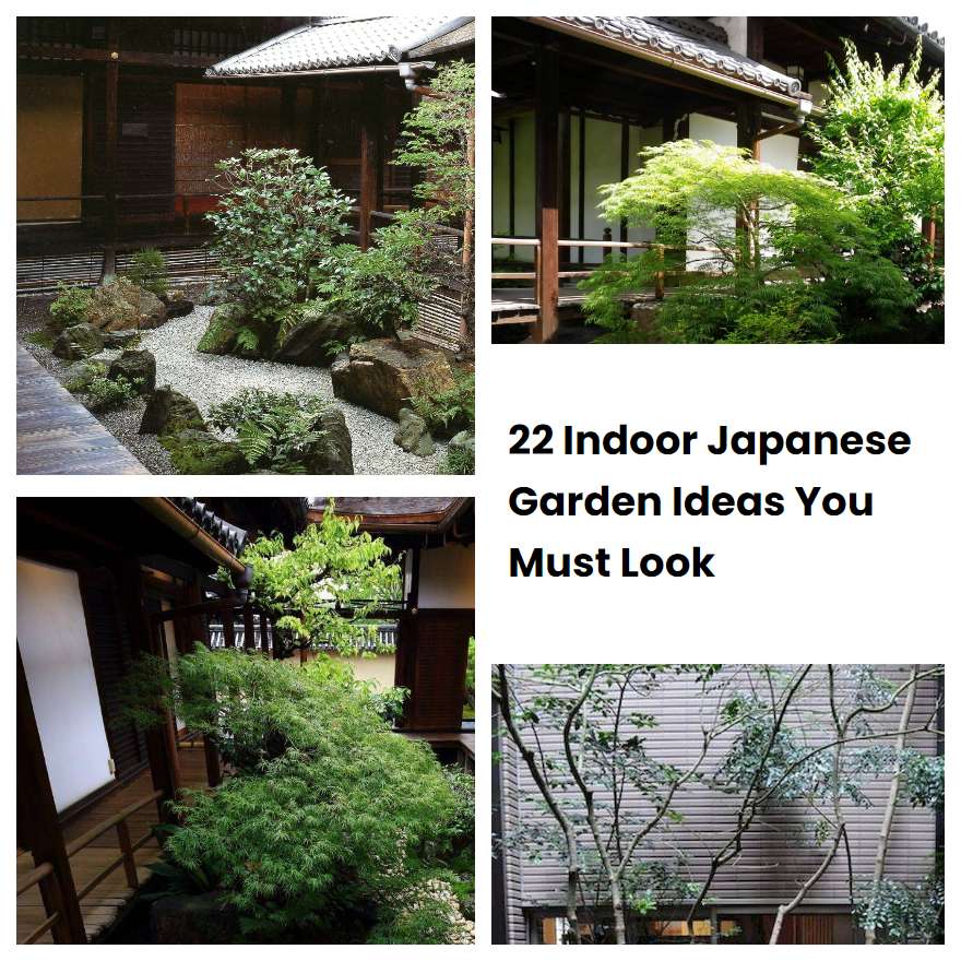 22 Indoor Japanese Garden Ideas You Must Look