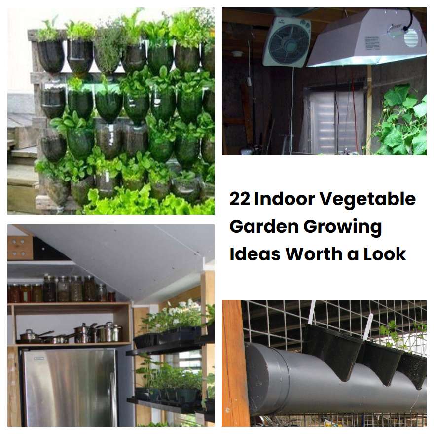 22 Indoor Vegetable Garden Growing Ideas Worth a Look