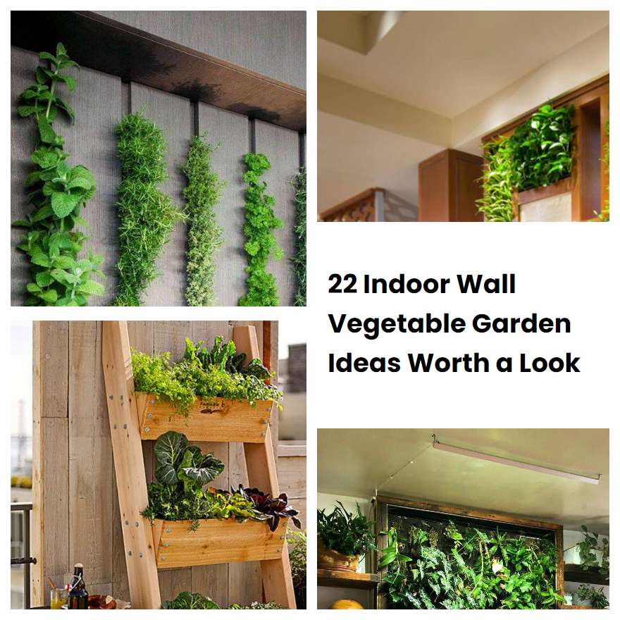 22 Indoor Wall Vegetable Garden Ideas Worth a Look SharonSable