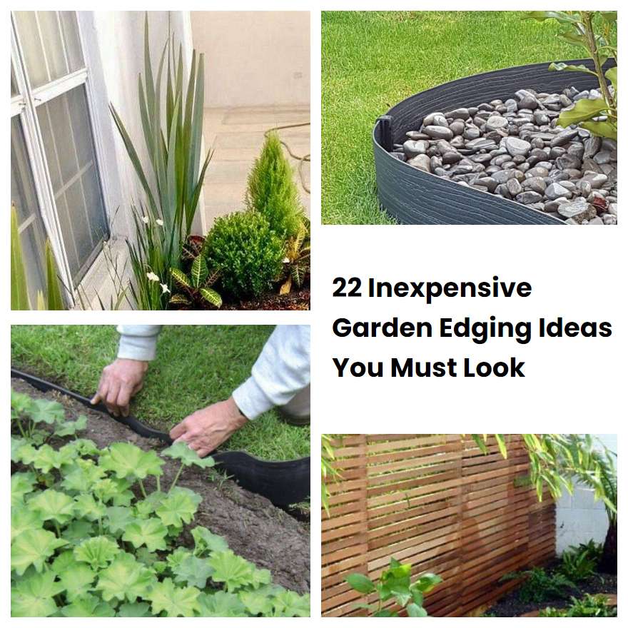 22 Inexpensive Garden Edging Ideas You Must Look SharonSable