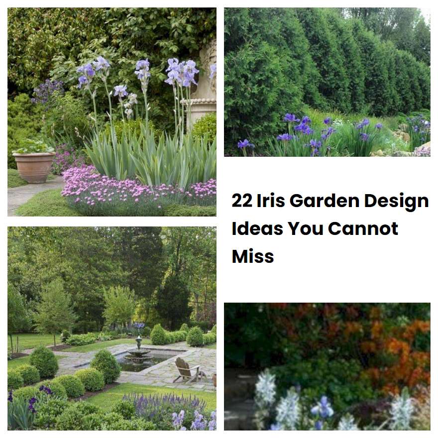 22 Iris Garden Design Ideas You Cannot Miss SharonSable