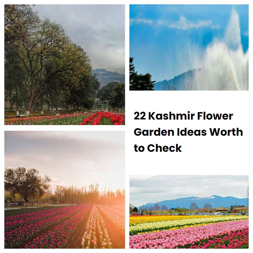 22 Kashmir Flower Garden Ideas Worth to Check SharonSable