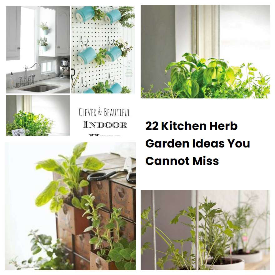 22 Kitchen Herb Garden Ideas You Cannot Miss SharonSable