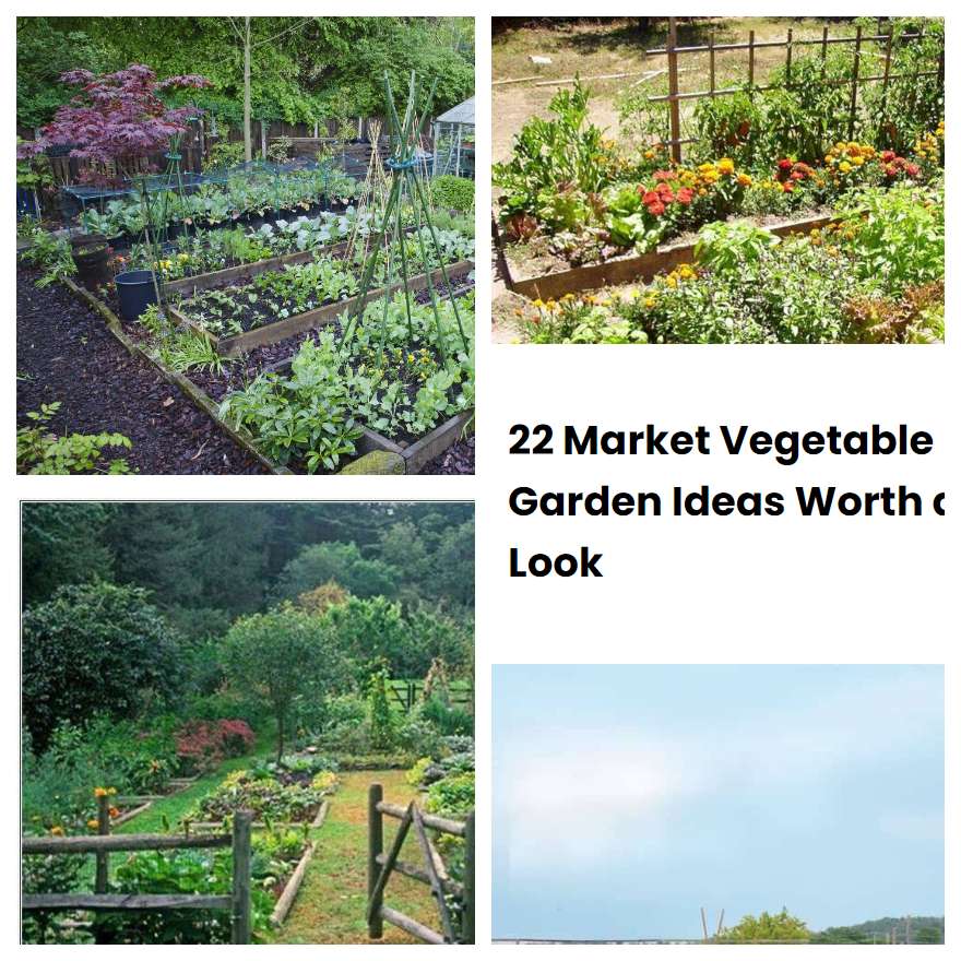 22 Market Vegetable Garden Ideas Worth a Look