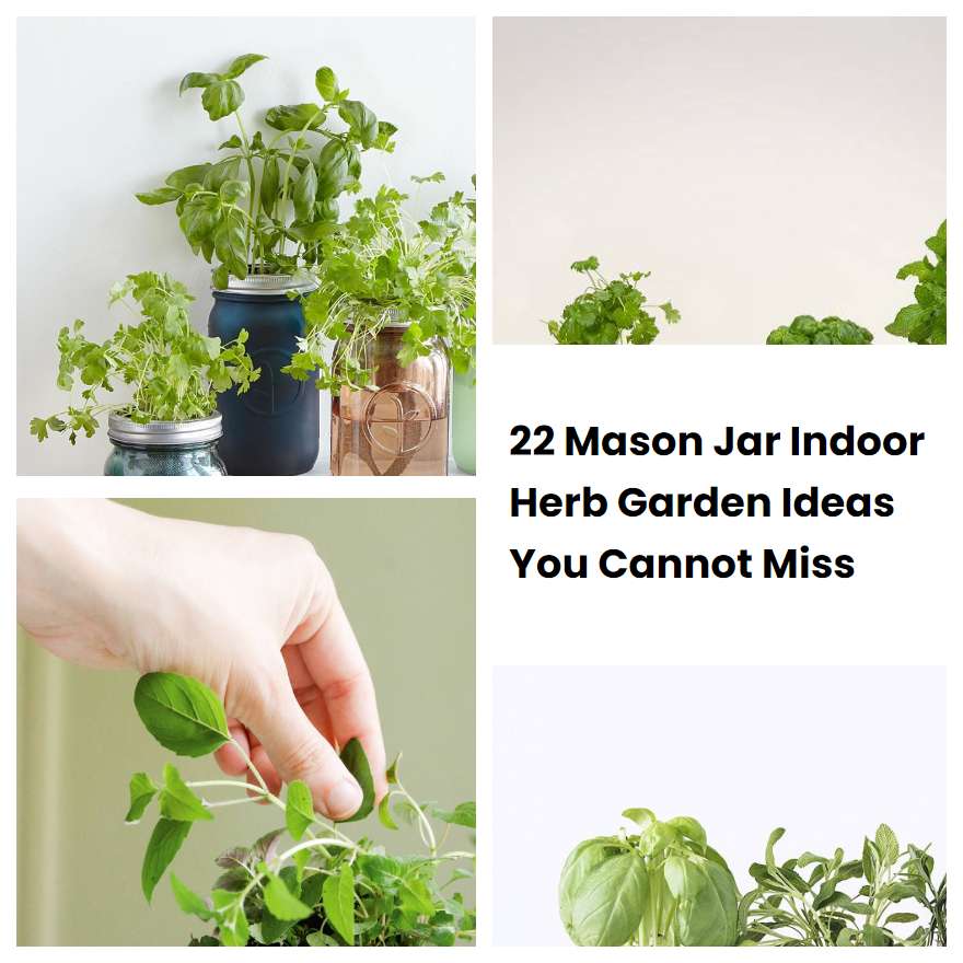 22 Mason Jar Indoor Herb Garden Ideas You Cannot Miss SharonSable