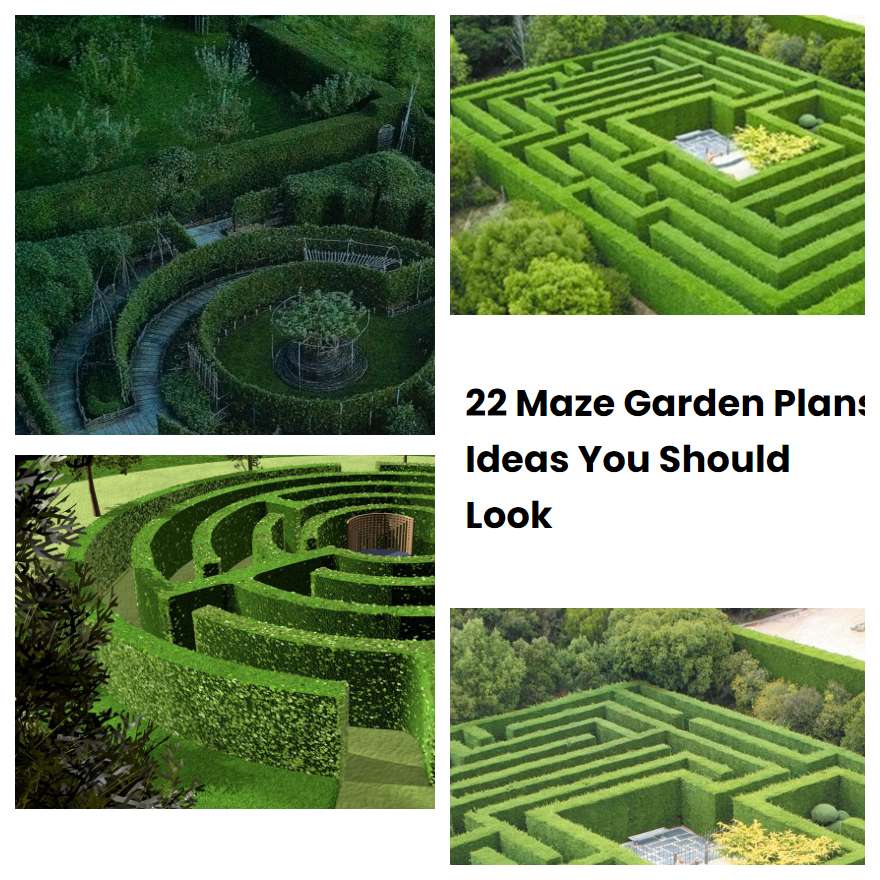22 Maze Garden Plans Ideas You Should Look