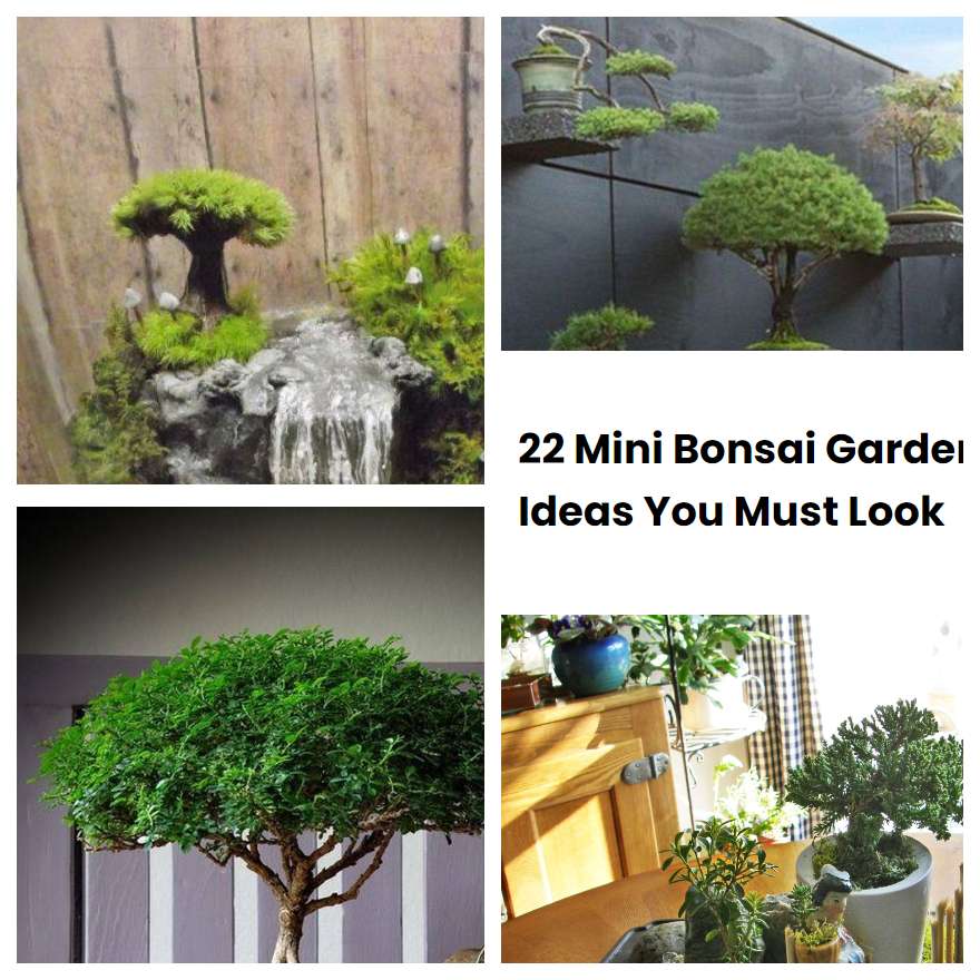 22 Mini Bonsai Garden Ideas You Must Look SharonSable