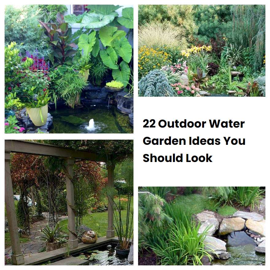 22 Outdoor Water Garden Ideas You Should Look