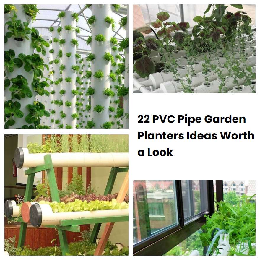 22 PVC Pipe Garden Planters Ideas Worth a Look SharonSable