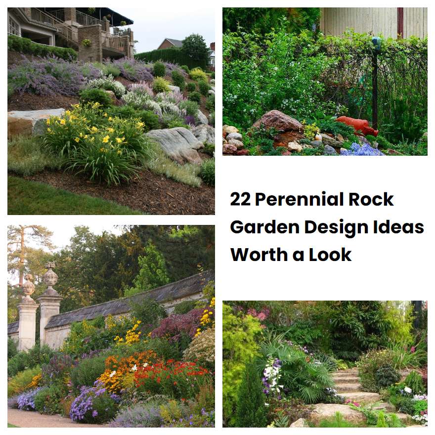 22 Perennial Rock Garden Design Ideas Worth a Look SharonSable