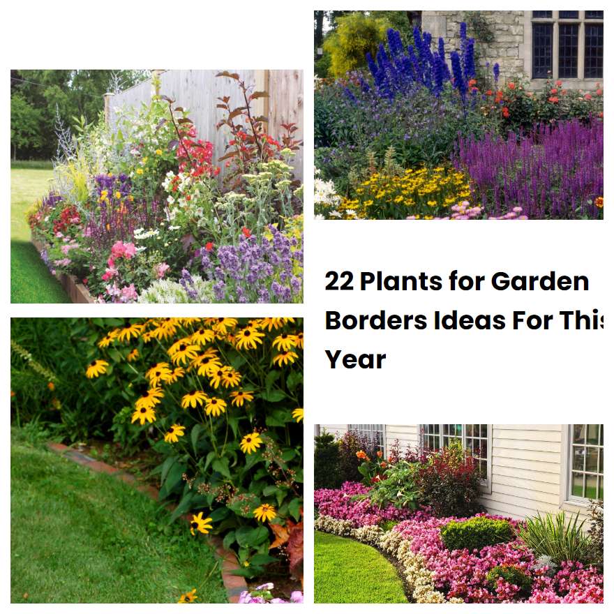 22 Plants for Garden Borders Ideas For This Year
