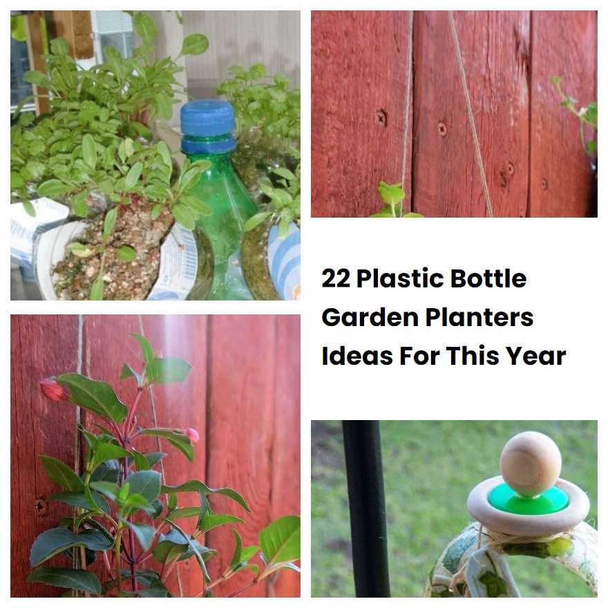 22 Plastic Bottle Garden Planters Ideas For This Year