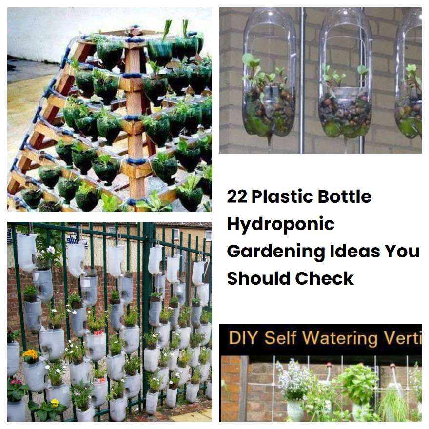 22 Plastic Bottle Hydroponic Gardening Ideas You Should Check