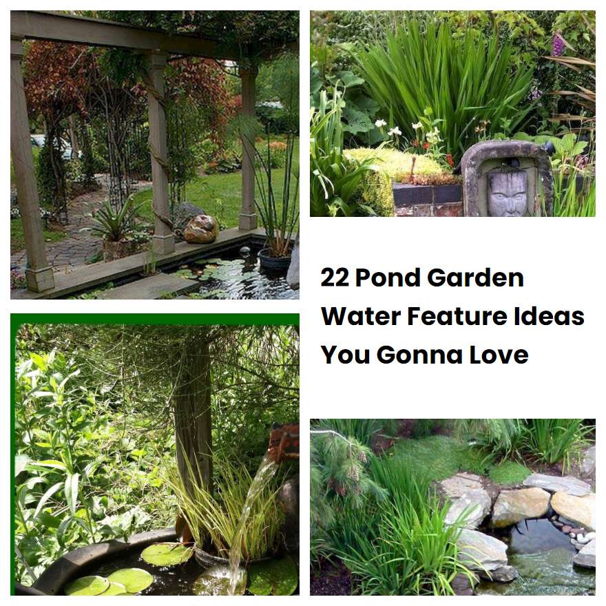 22 Pond Garden Water Feature Ideas You Gonna Love