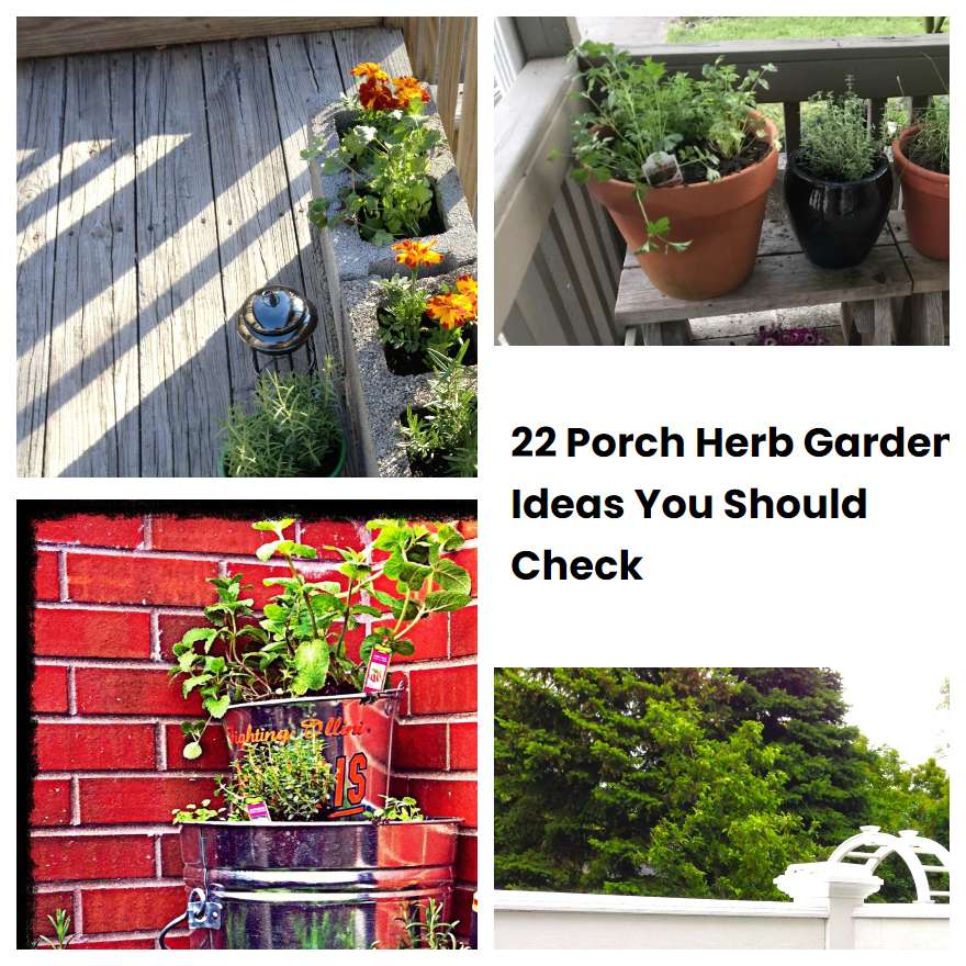 22 Porch Herb Garden Ideas You Should Check