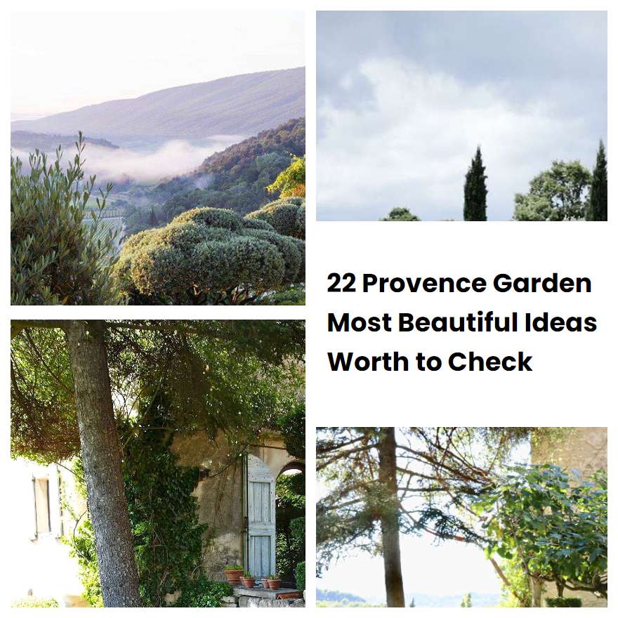 22 Provence Garden Most Beautiful Ideas Worth to Check