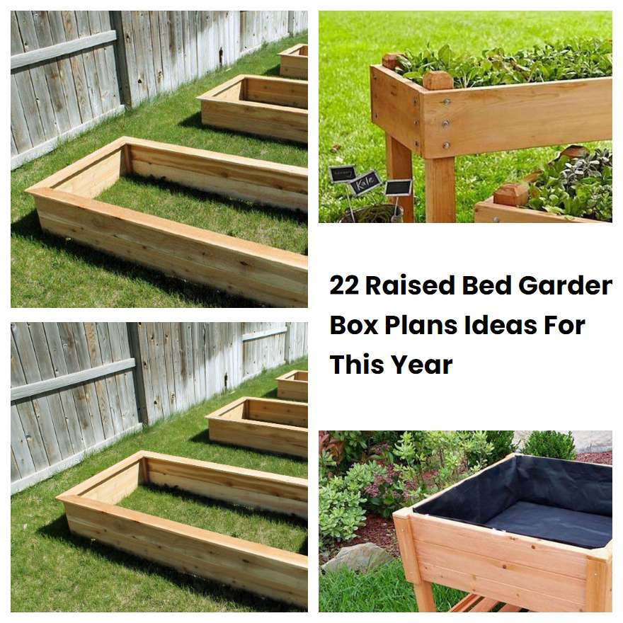 22 Raised Bed Garden Box Plans Ideas For This Year SharonSable