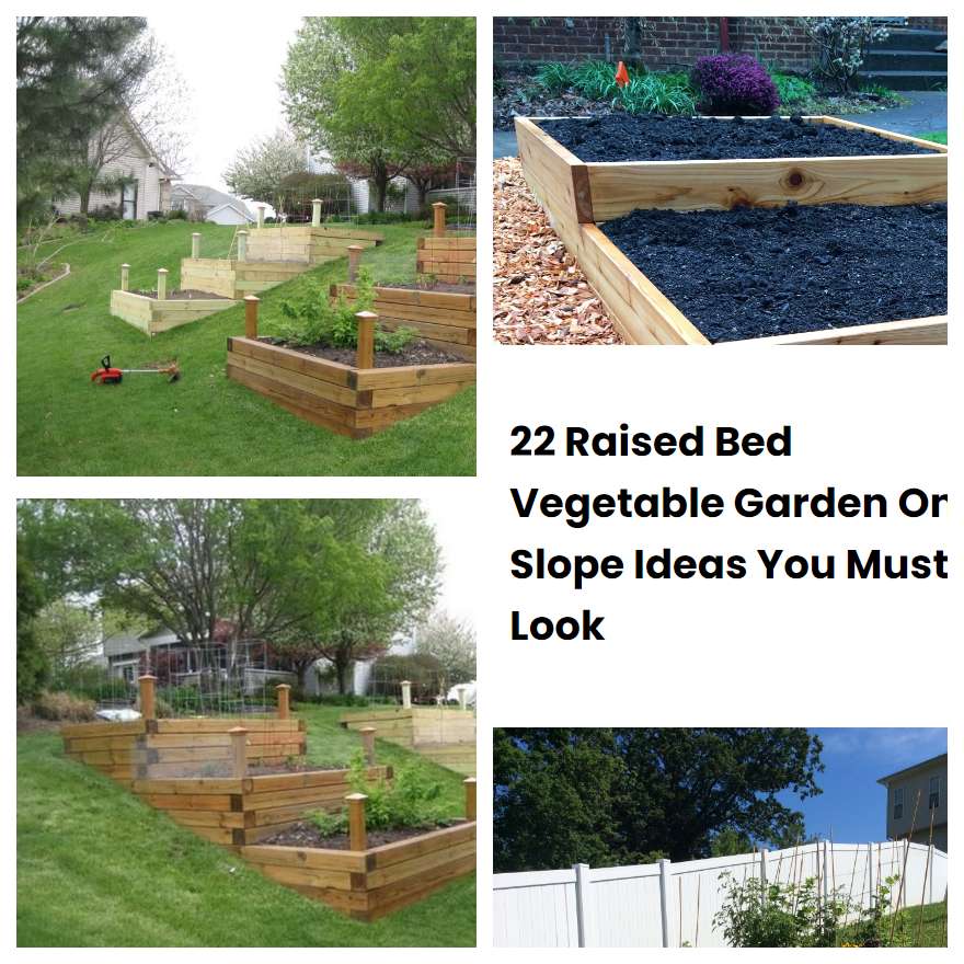 22 Raised Bed Vegetable Garden On Slope Ideas You Must Look SharonSable