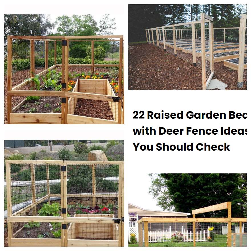 22 Raised Garden Bed with Deer Fence Ideas You Should Check SharonSable
