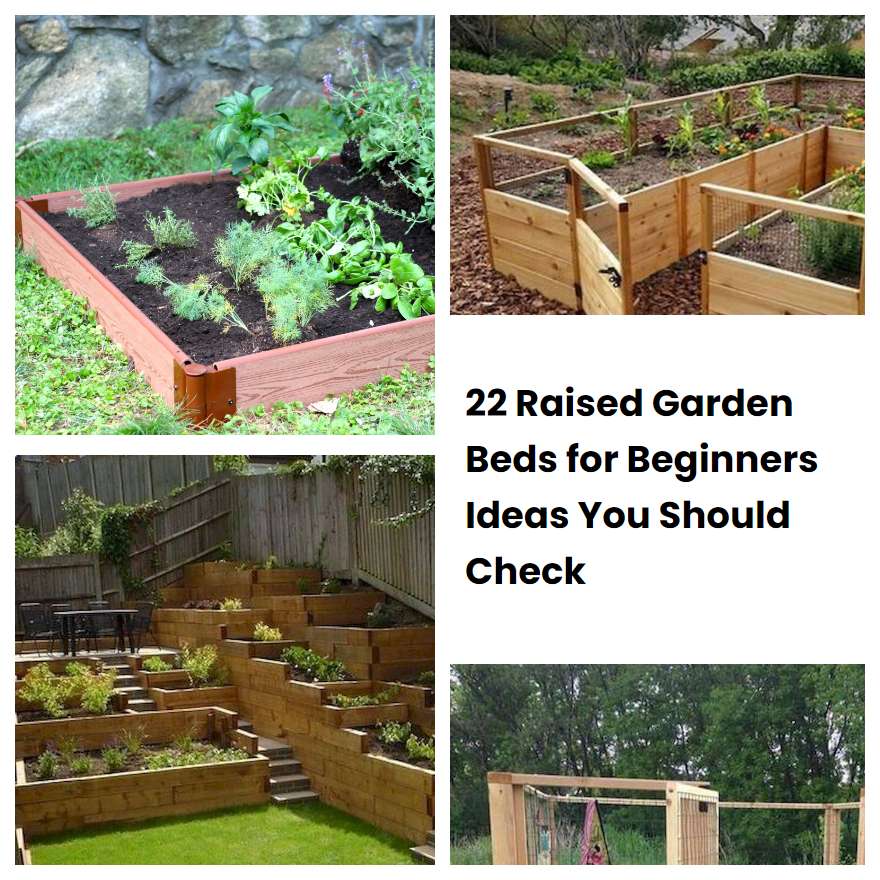 22 Raised Garden Beds for Beginners Ideas You Should Check