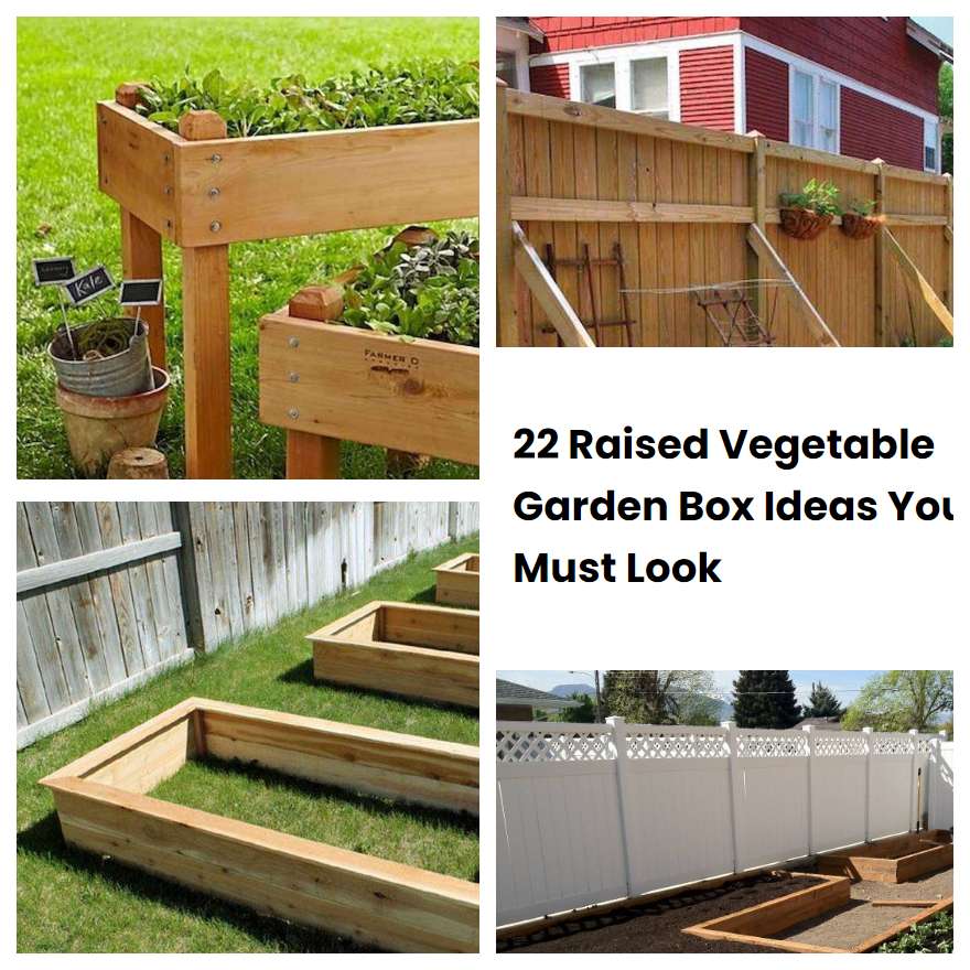22 Raised Vegetable Garden Box Ideas You Must Look SharonSable