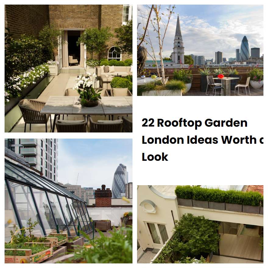 22 Rooftop Garden London Ideas Worth a Look SharonSable