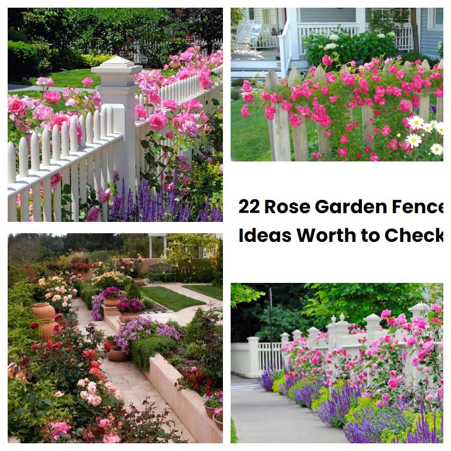 22 Rose Garden Fence Ideas Worth to Check