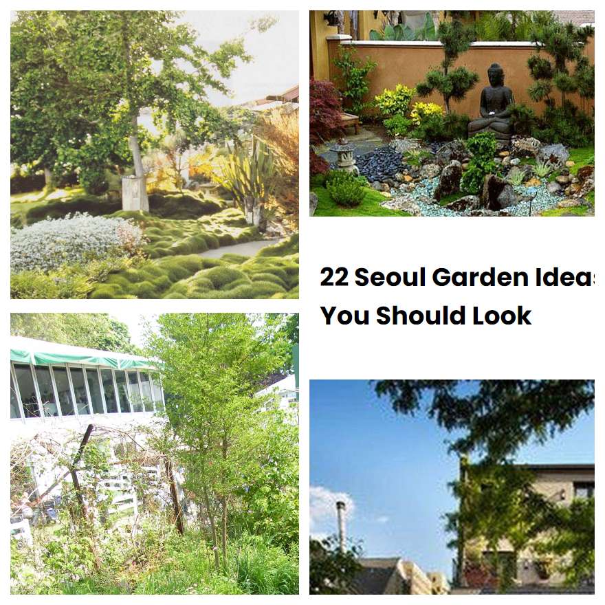 22 Seoul Garden Ideas You Should Look