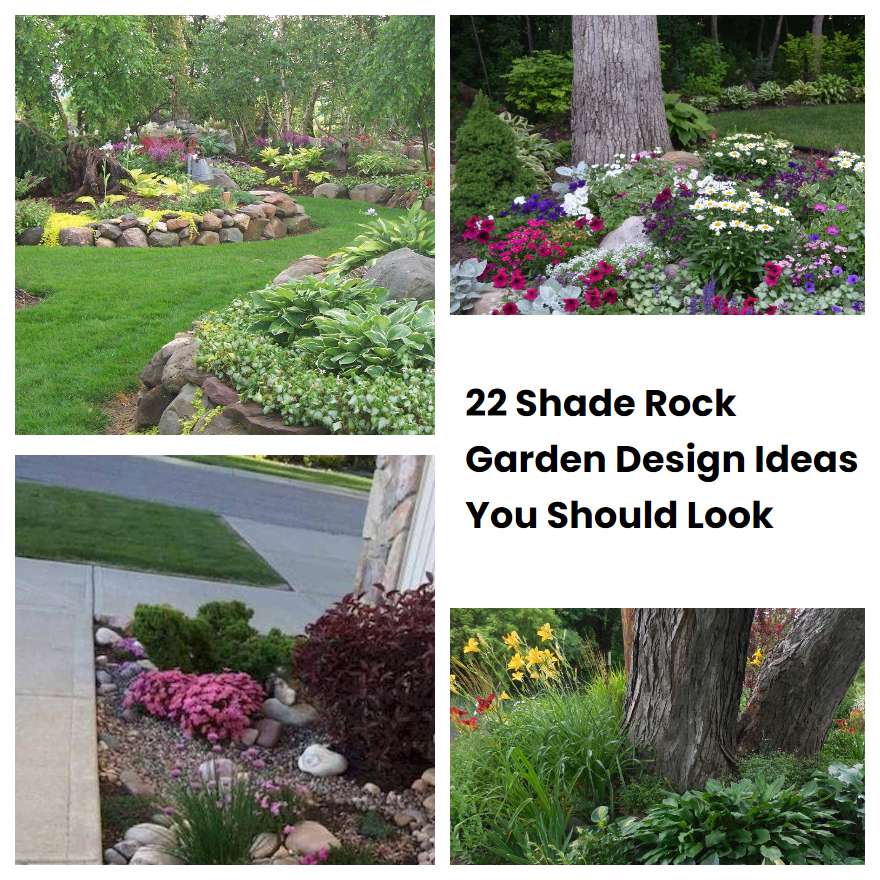 22 Shade Rock Garden Design Ideas You Should Look