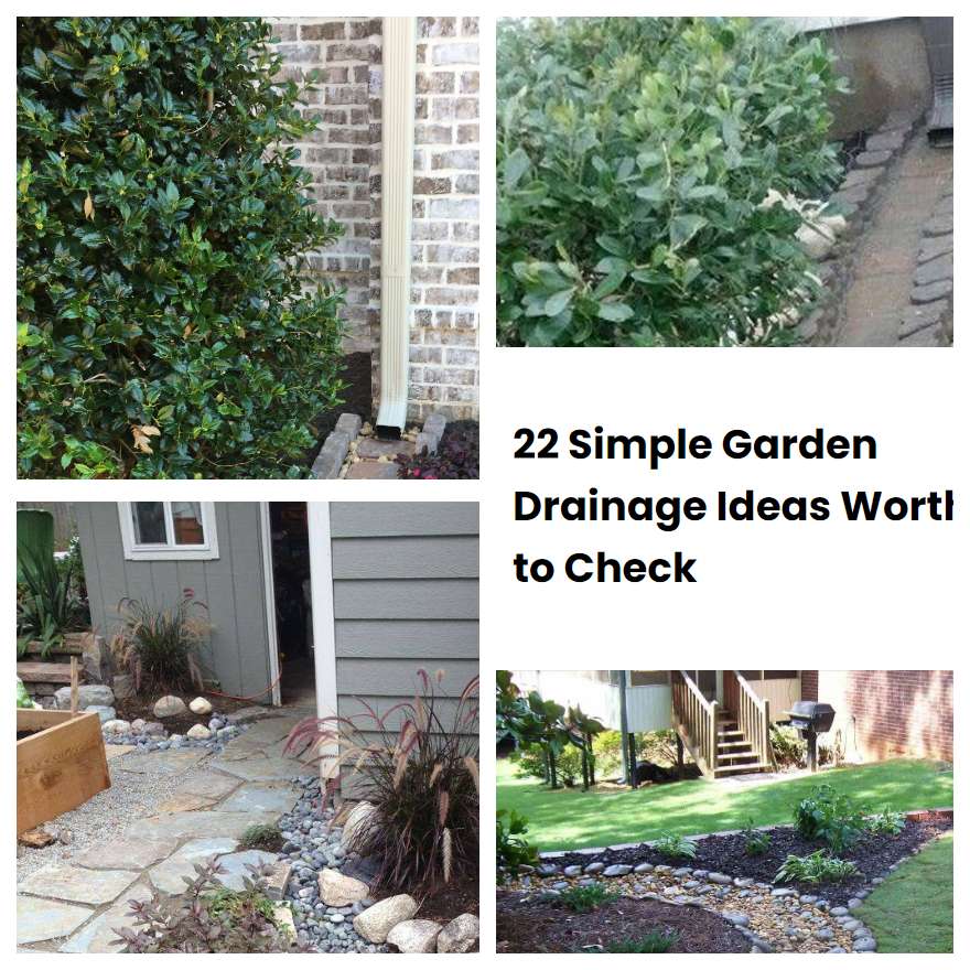 22 Simple Garden Drainage Ideas Worth to Check
