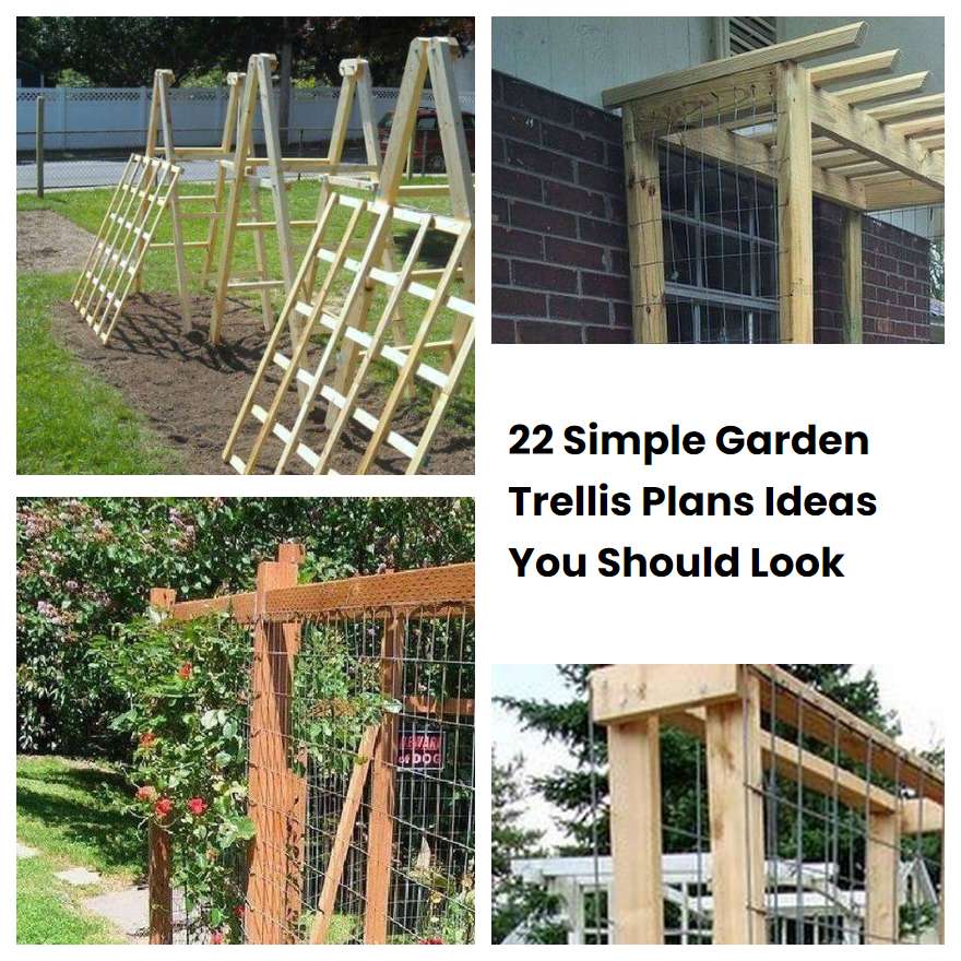 22 Simple Garden Trellis Plans Ideas You Should Look SharonSable