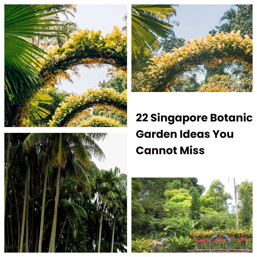 22 Singapore Botanic Garden Ideas You Cannot Miss