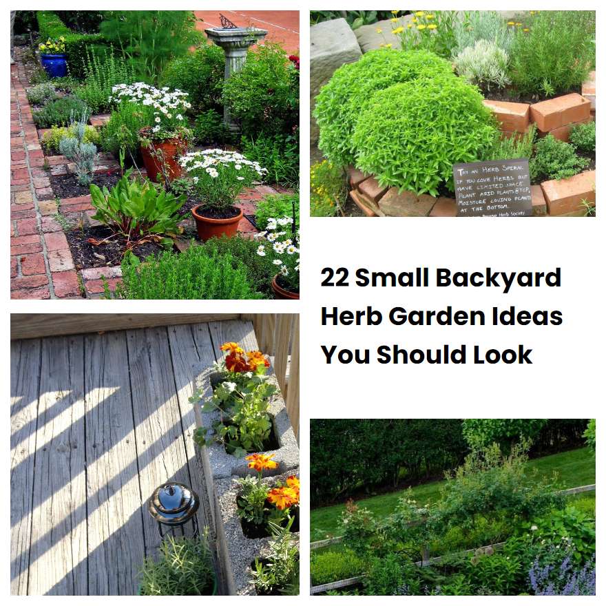 22 Small Backyard Herb Garden Ideas You Should Look SharonSable