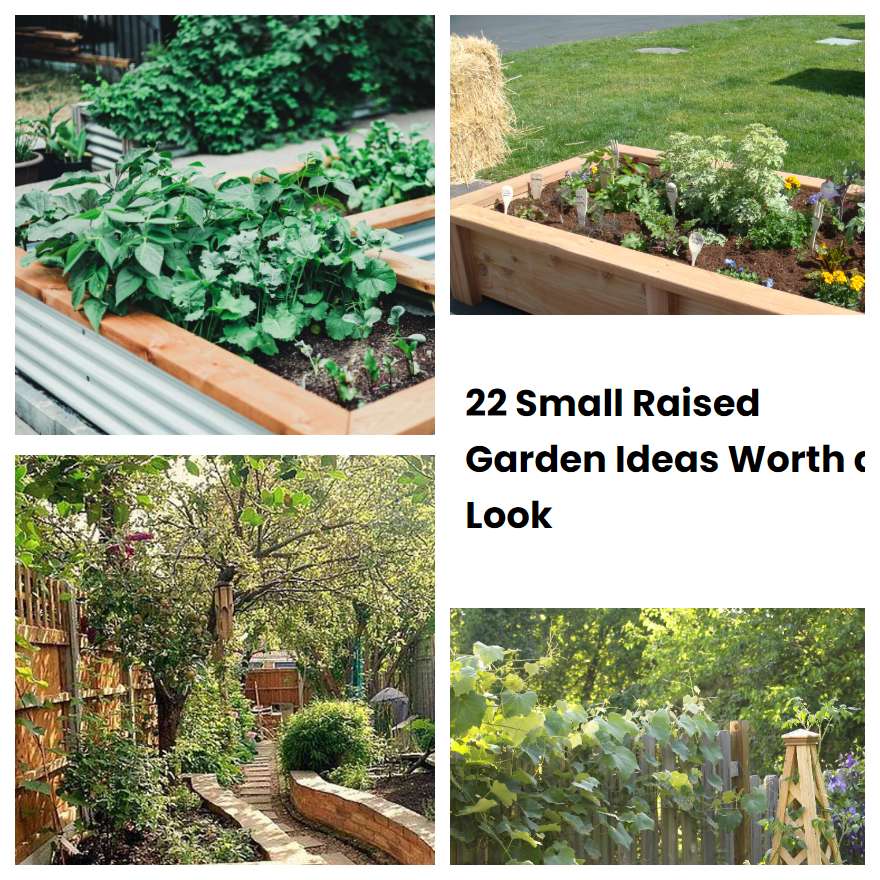 22 Small Raised Garden Ideas Worth a Look SharonSable