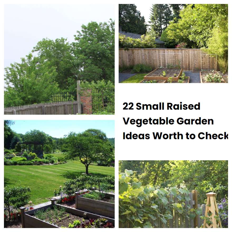22 Small Raised Vegetable Garden Ideas Worth to Check