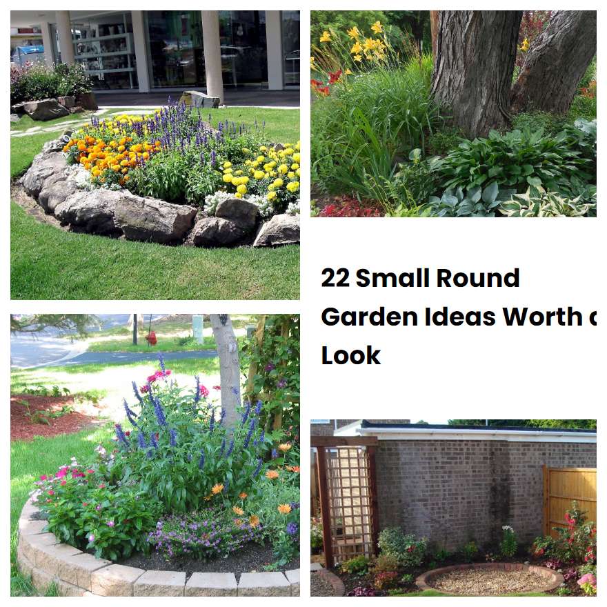 22 Small Round Garden Ideas Worth a Look SharonSable