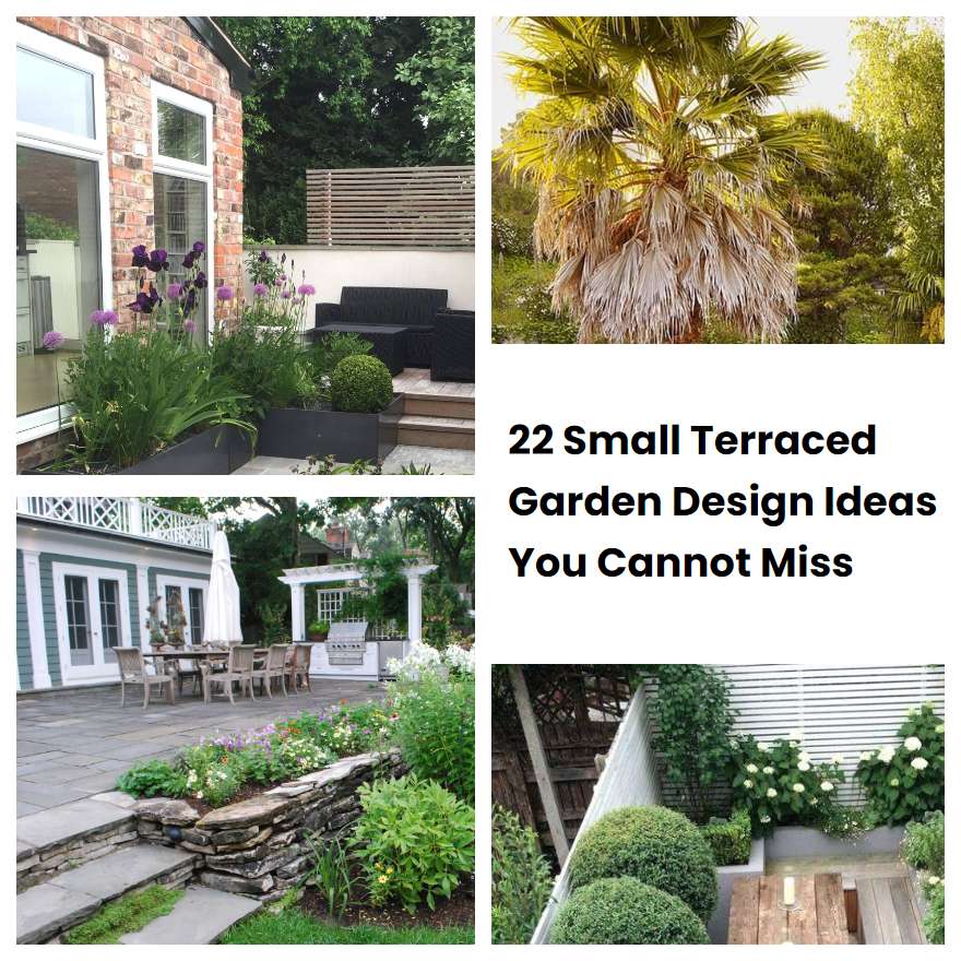 22 Small Terraced Garden Design Ideas You Cannot Miss SharonSable