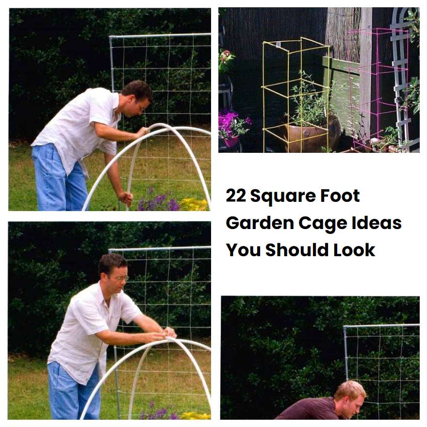 22 Square Foot Garden Cage Ideas You Should Look