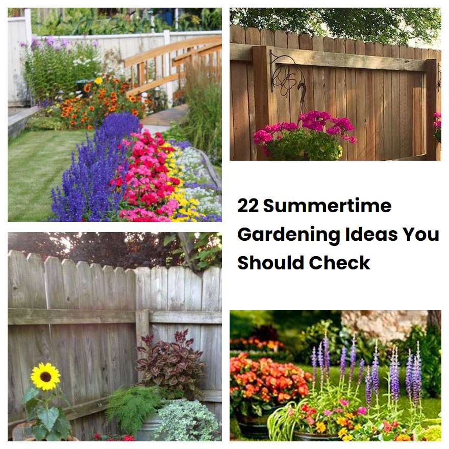 22 Summertime Gardening Ideas You Should Check