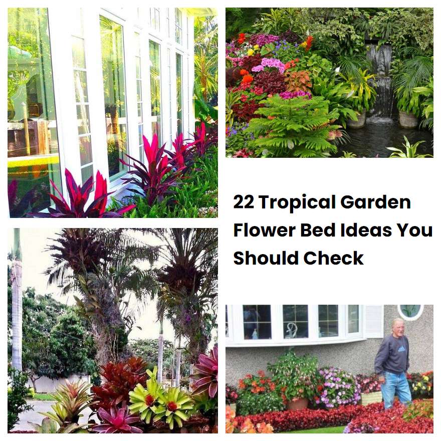 22 Tropical Garden Flower Bed Ideas You Should Check
