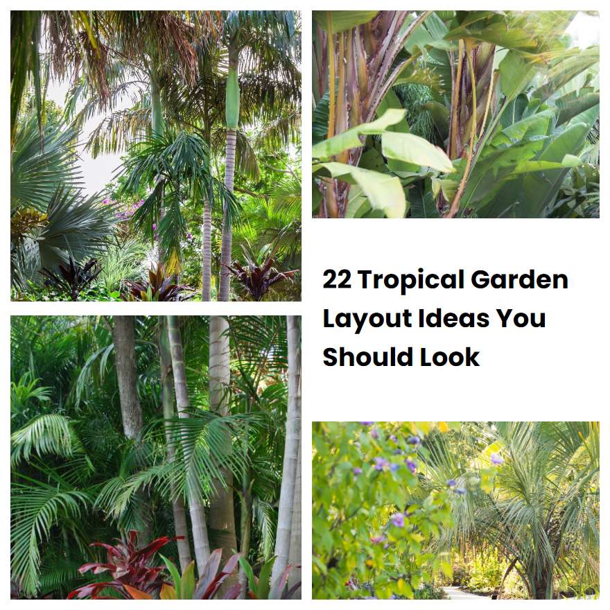 22 Tropical Garden Layout Ideas You Should Look