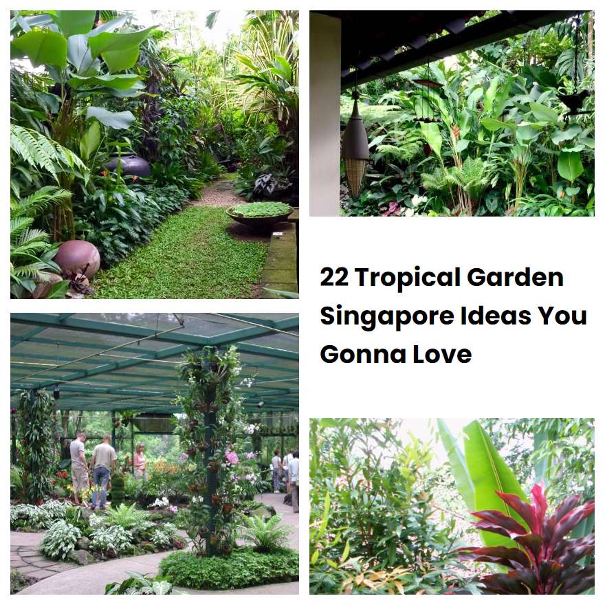 22 Tropical Garden Singapore Ideas You Gonna Love