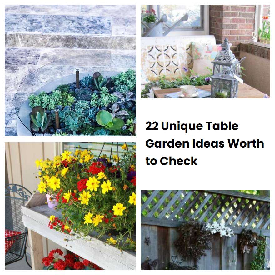 22 Unique Table Garden Ideas Worth to Check