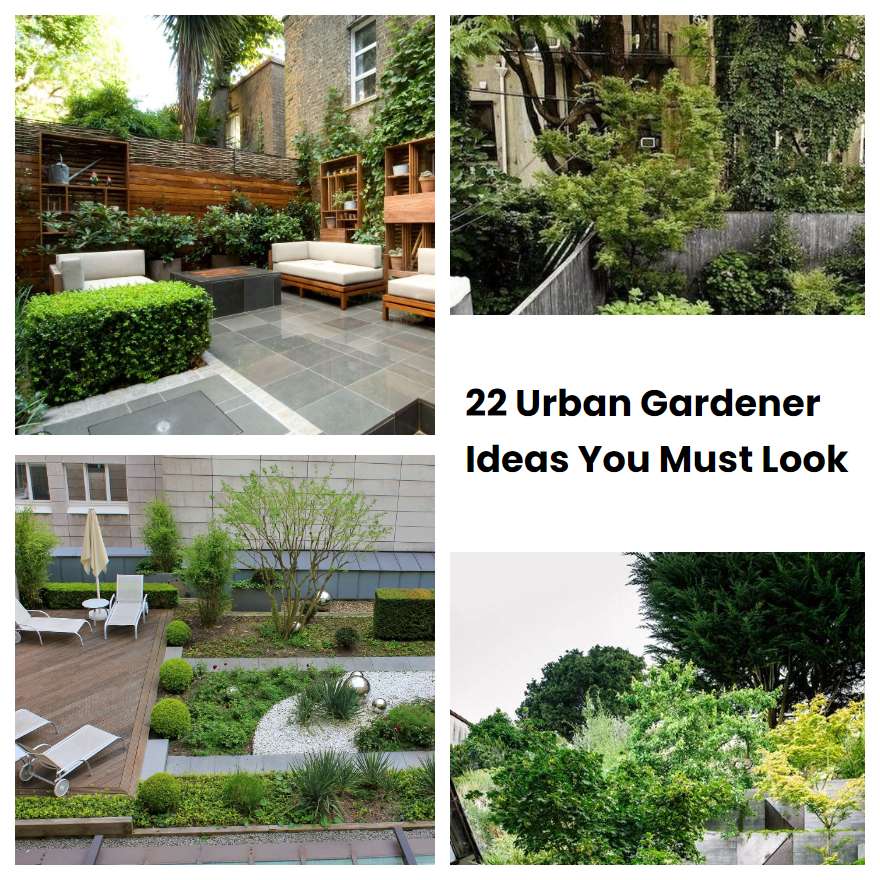 22 Urban Gardener Ideas You Must Look